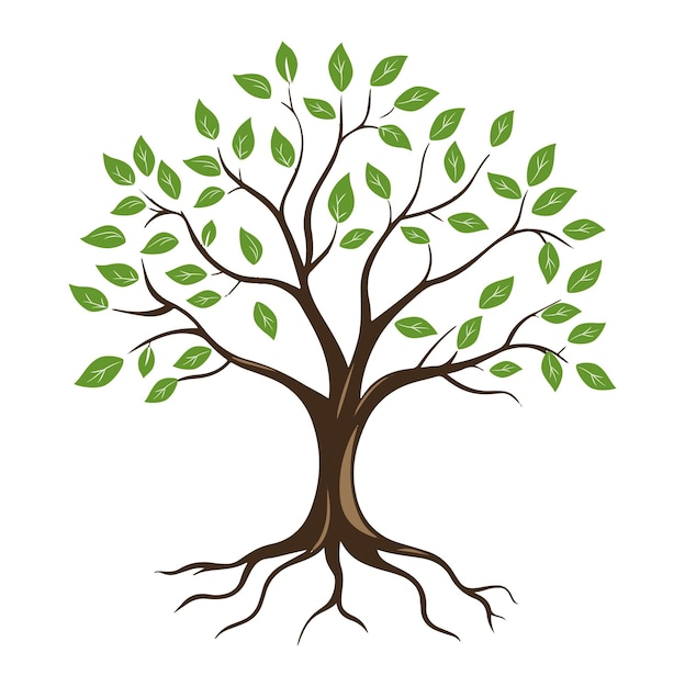 un dibujo de un árbol con hojas verdes en él