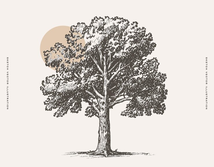 Vector dibujo de un árbol con luna llena