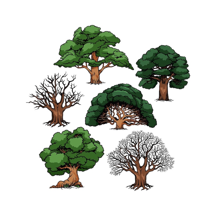 Vector un dibujo de un árbol con la palabra árboles en él