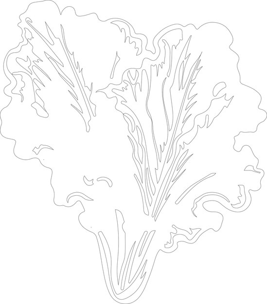 un dibujo de un árbol con las palabras contorno en él