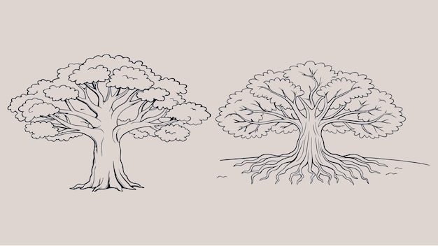 un dibujo de un árbol con las raíces de un árbol