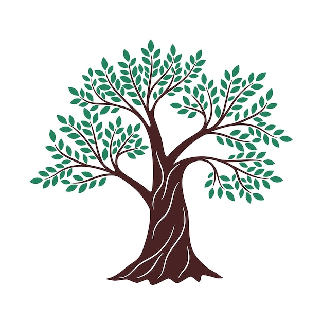 Dibujo de árbol verde. Gráficos de roble, elemento de marca de logotipo de conocimiento creativo religioso ambiental, ilustración de vector de madera de genealogía sobre fondo blanco