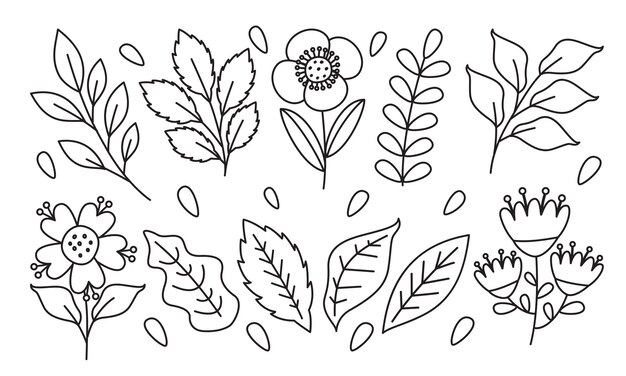 Vector dibujo de arte lineal de flores y plantas.