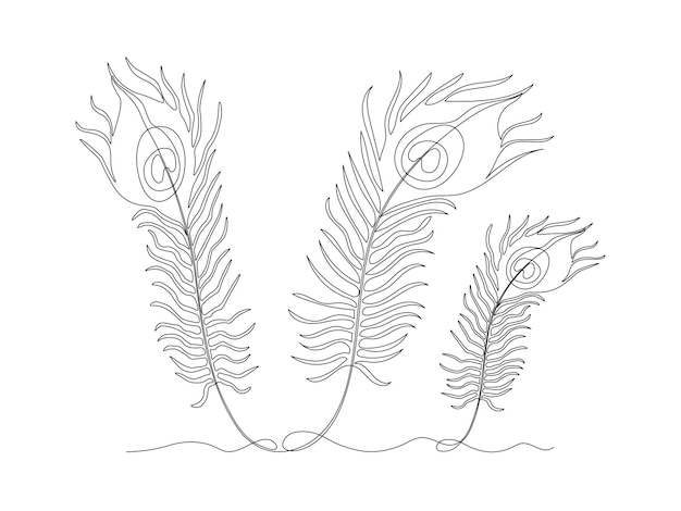 Dibujo de arte de una sola línea continua de tres plumas de pavo real abstracto