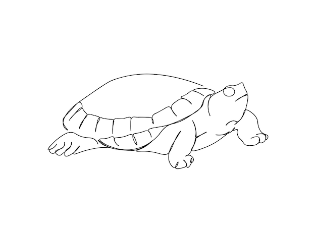 El dibujo de arte de una sola línea de tortuga continúa la ilustración de vector de línea