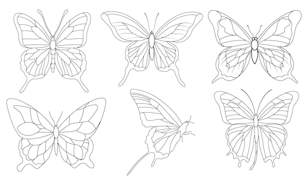 Dibujo de arte vectorial de contorno animal de mariposa continua de una línea