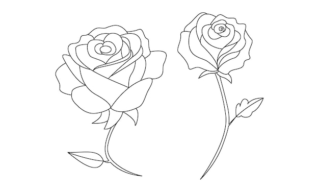 Dibujo de arte vectorial de contorno de rosa de una línea continua