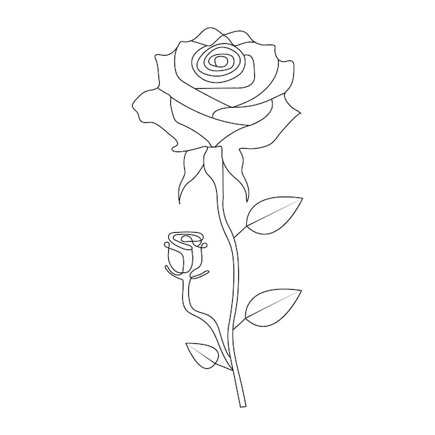 Dibujo artístico continuo de una línea de ilustración vectorial de una flor de rosa