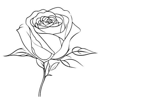 Un dibujo artístico continuo de una línea negra con un hermoso contorno de rosas, dibujos, ilustraciones vectoriales para colorear.