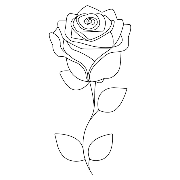 Dibujo artístico continuo de una sola línea de la belleza de la flor de la rosa ilustración vectorial