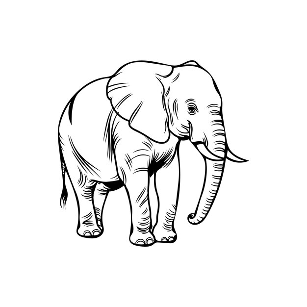 Dibujo artístico sencillo de línea de elefante