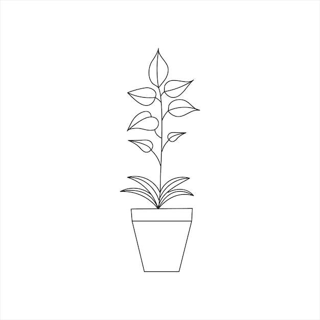 dibujo artístico simple del contorno del árbol de caucho