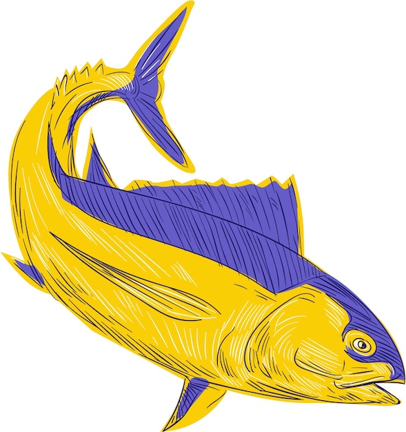 Vector el dibujo del atún albacore