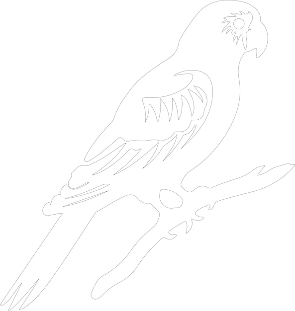 un dibujo de un ave con un pájaro en el lado