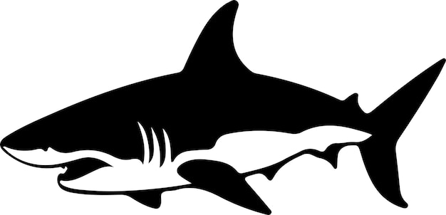 Vector un dibujo de una ballena asesina con las palabras ballena en él