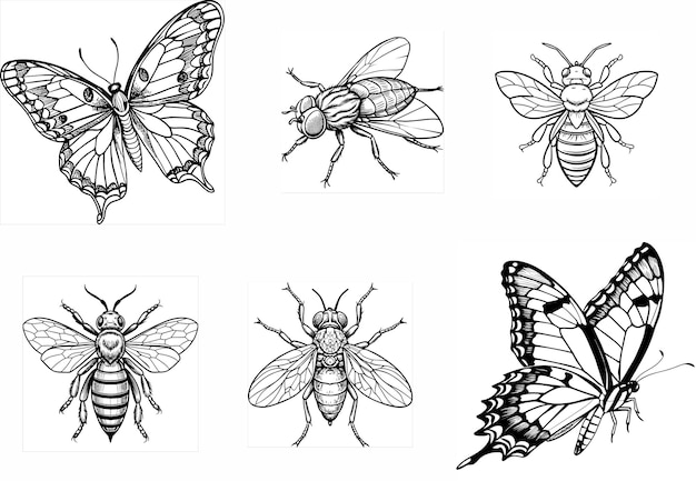 un dibujo en blanco y negro de una abeja y una abeja