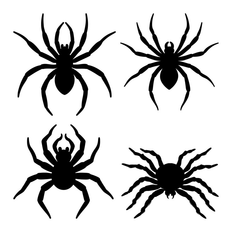 un dibujo en blanco y negro de una araña y una araña