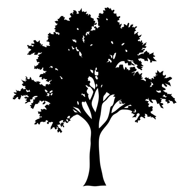 un dibujo en blanco y negro de un árbol con la palabra árboles en él