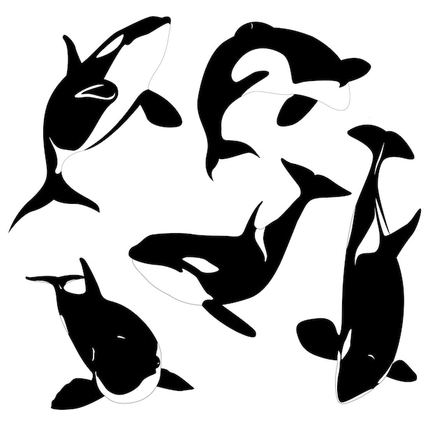 Vector un dibujo en blanco y negro de una ballena y una ballena