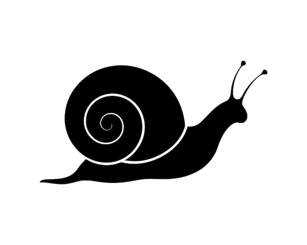 un dibujo en blanco y negro de un caracol con un contorno negro