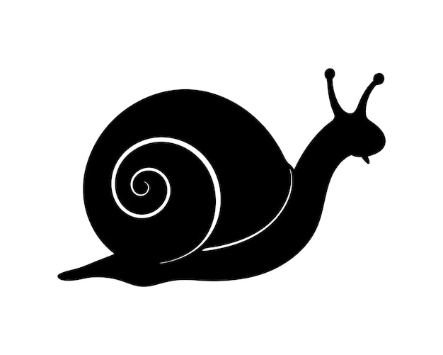un dibujo en blanco y negro de un caracol