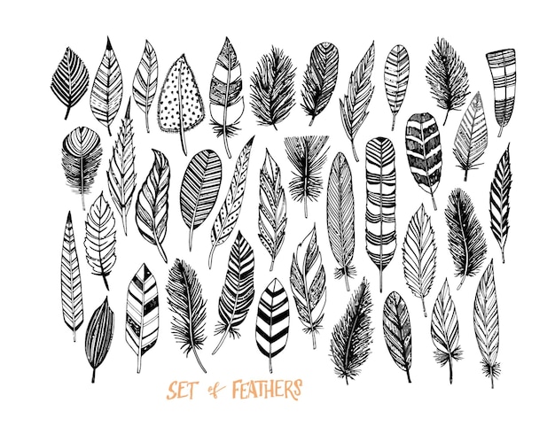 un dibujo en blanco y negro de una colección de hojas y pájaros