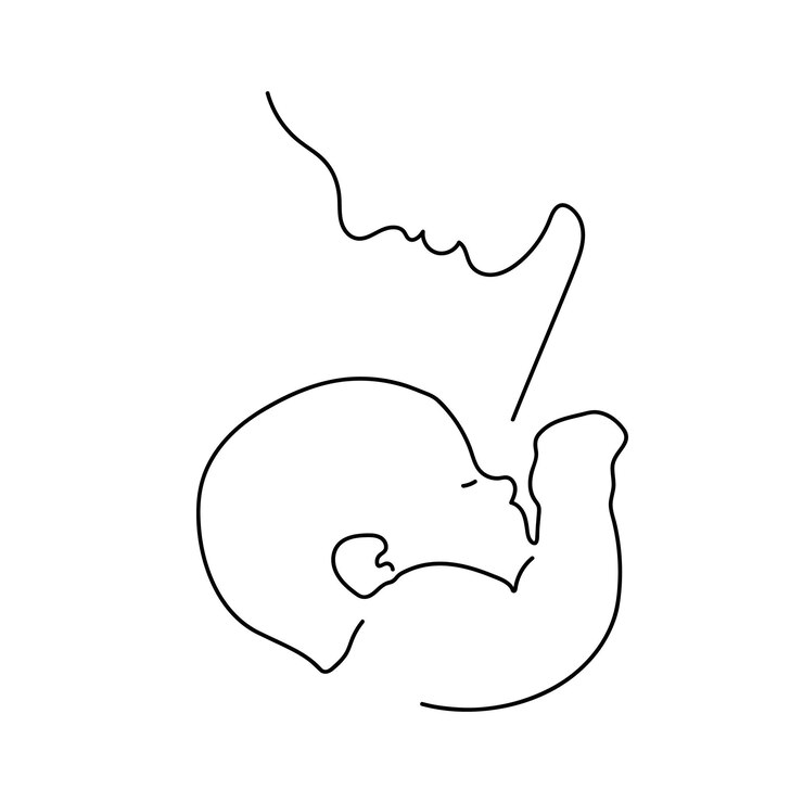 un dibujo en blanco y negro de un corazón con un fondo blanco