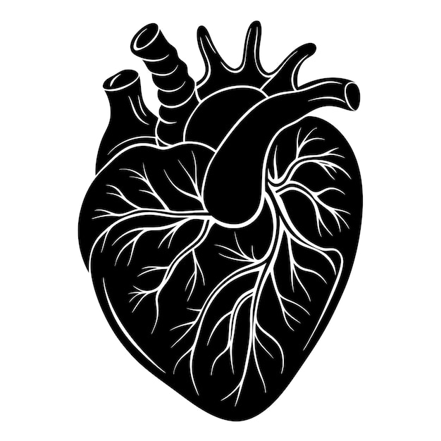 un dibujo en blanco y negro de un corazón con la palabra corazón en él