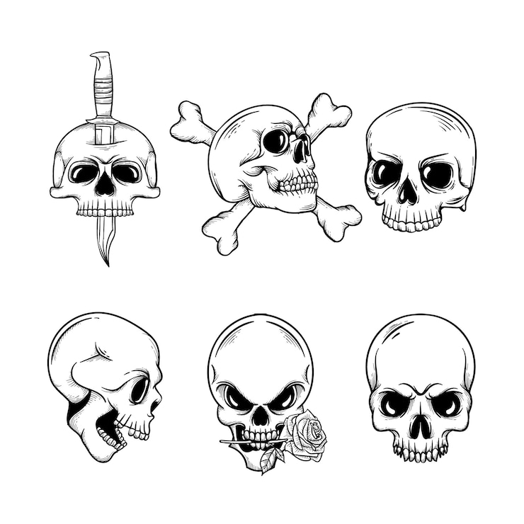 Vector un dibujo en blanco y negro de un cráneo y cráneos
