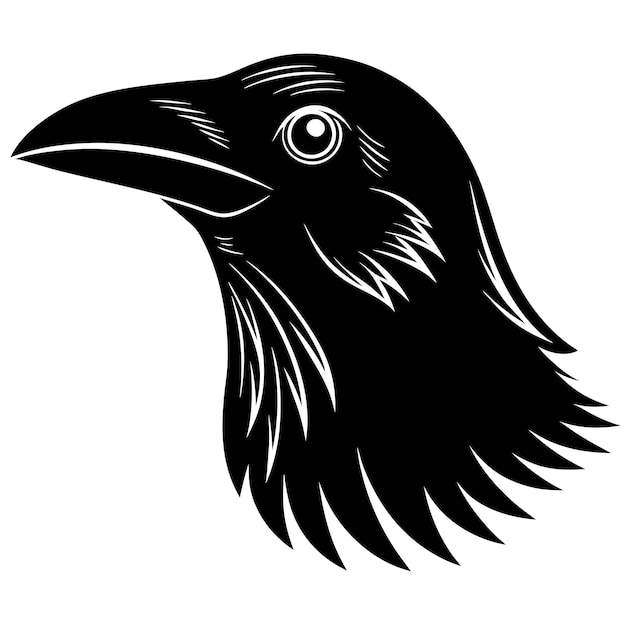 un dibujo en blanco y negro de un cuervo negro con un fondo blanco