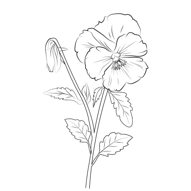 Un dibujo en blanco y negro de una flor con las hojas y el número 7 en ella.