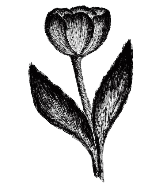 Un dibujo en blanco y negro de una flor.