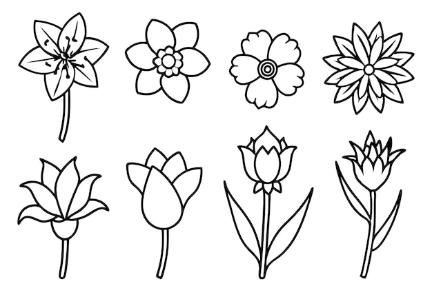 un dibujo en blanco y negro de flores y hojas con un contorno negro