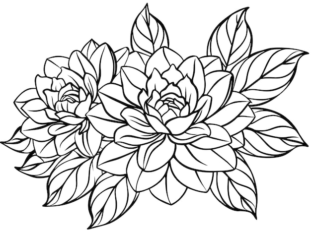 un dibujo en blanco y negro de flores con hojas en un fondo blanco