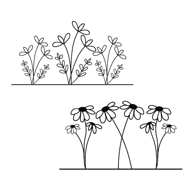 Un dibujo en blanco y negro de flores con la palabra margarita en la parte inferior.