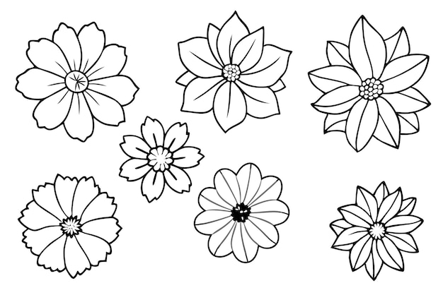 un dibujo en blanco y negro de flores y las palabras flores en un fondo blanco