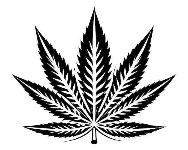 Vector un dibujo en blanco y negro de una hoja de marihuana con la palabra marihuana en ella