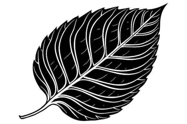 un dibujo en blanco y negro de una hoja con las palabras la palabra en él