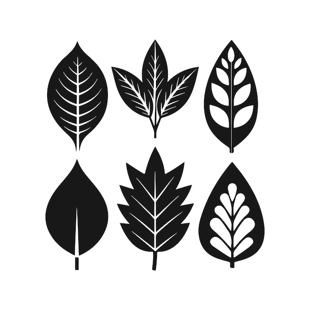 un dibujo en blanco y negro de hojas y hojas