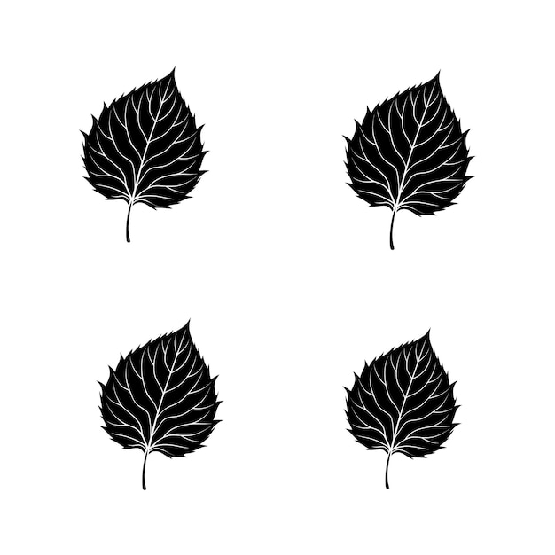 un dibujo en blanco y negro de hojas con las palabras planta en él