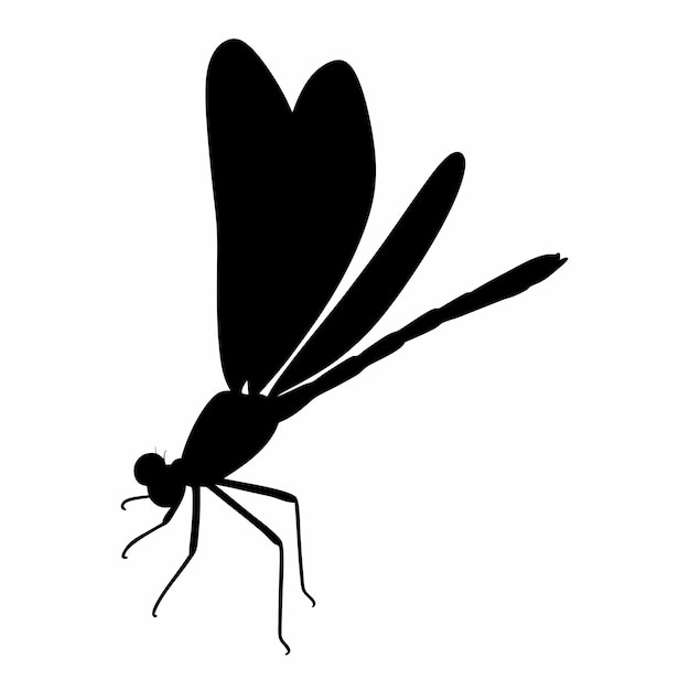 Un dibujo en blanco y negro de una libélula