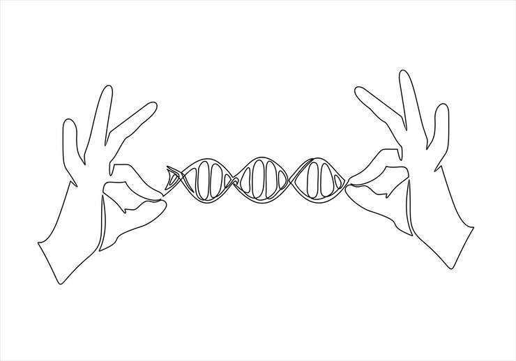 Vector un dibujo en blanco y negro de manos sosteniendo una hebra de adn.