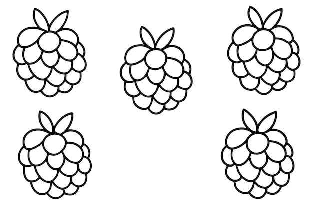 dibujo en blanco y negro de un montón de frambuesas