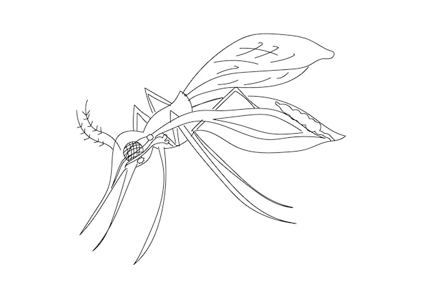 Vector un dibujo en blanco y negro de un mosquito.