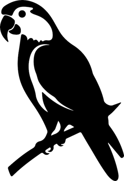 un dibujo en blanco y negro de un pájaro con una cola que dice pájaro