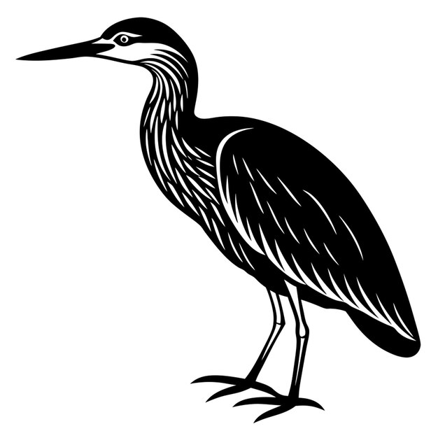 un dibujo en blanco y negro de un pájaro con un cuello largo