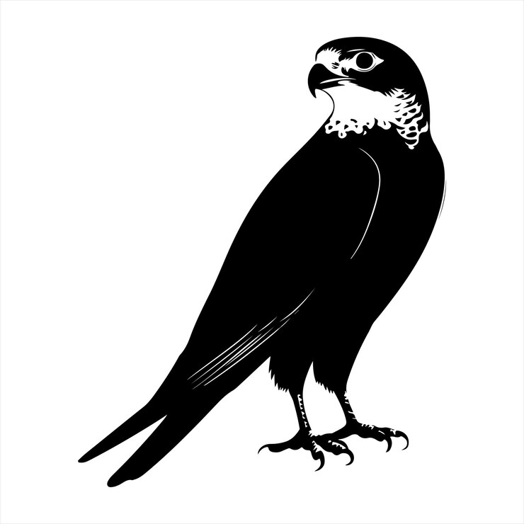 Vector un dibujo en blanco y negro de un pájaro con un fondo blanco