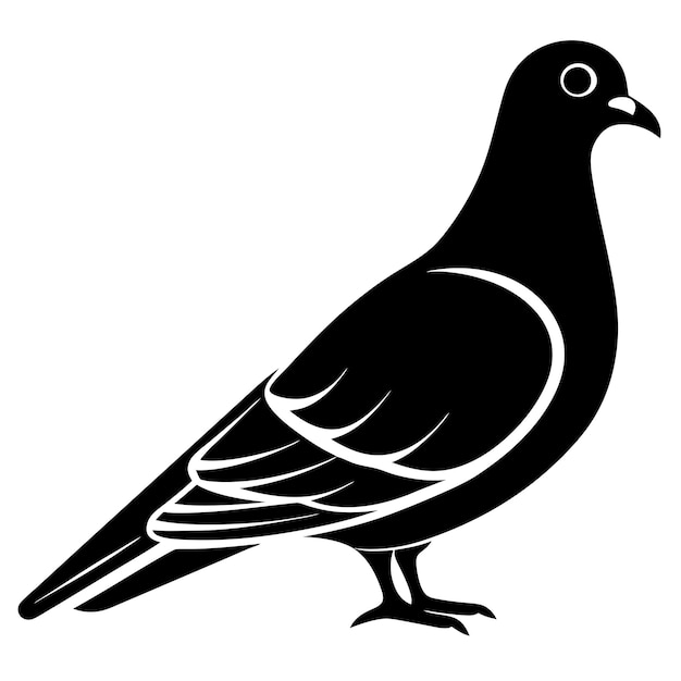 un dibujo en blanco y negro de un pájaro con un fondo blanco
