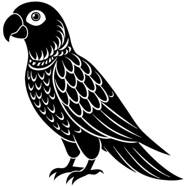 un dibujo en blanco y negro de un pájaro con un fondo negro