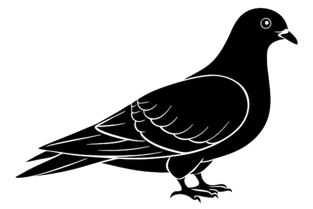 un dibujo en blanco y negro de un pájaro negro con una cola negra